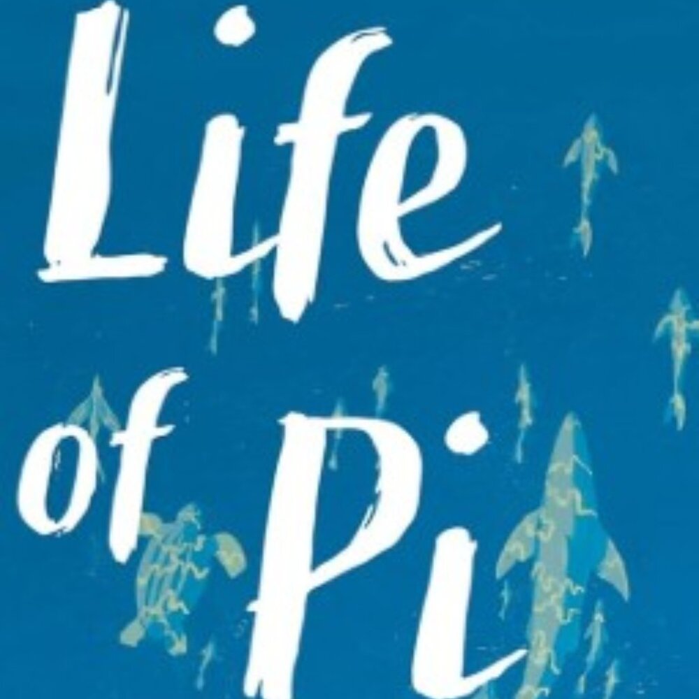 Life of Pi: A Novel Paperback - EUC